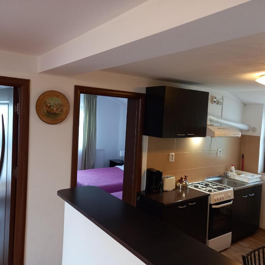 Charter Apartments Costea سيبيو المظهر الخارجي الصورة