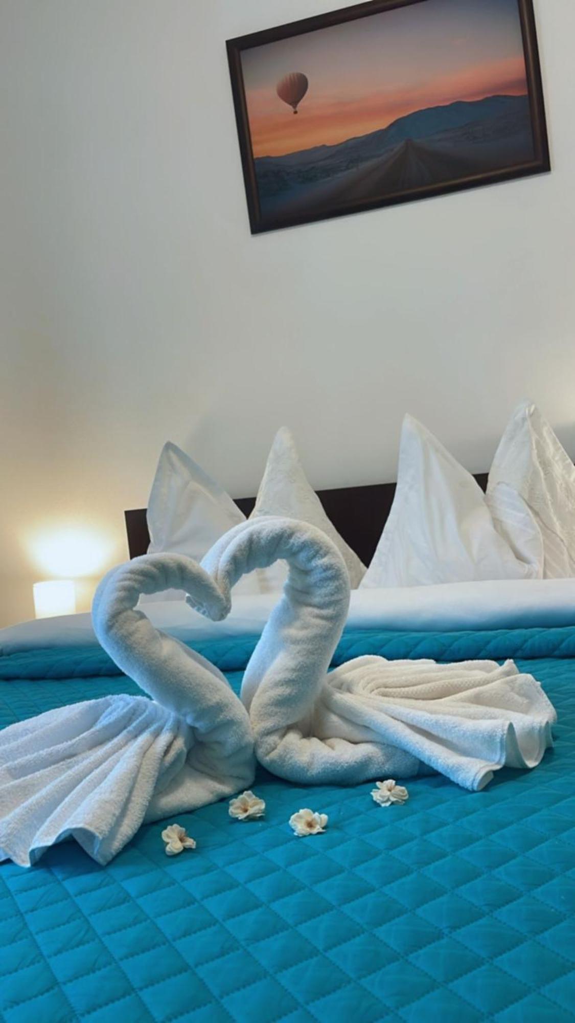 Charter Apartments Costea سيبيو المظهر الخارجي الصورة