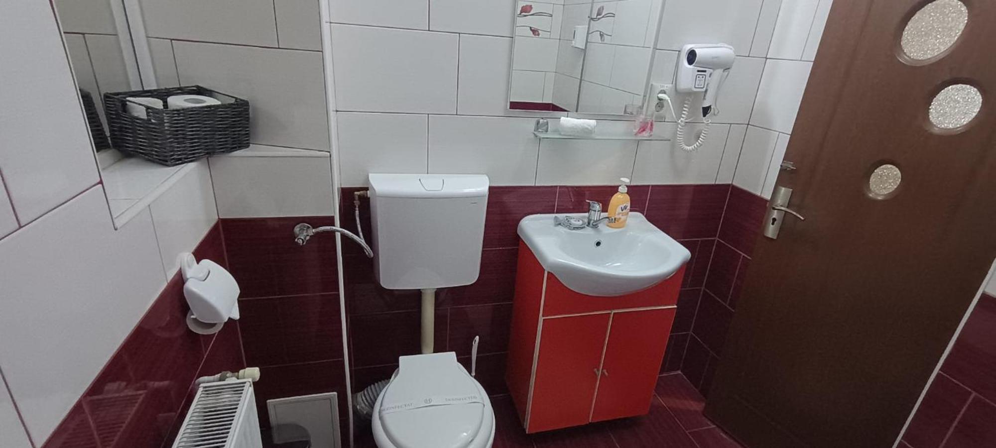 Charter Apartments Costea سيبيو المظهر الخارجي الصورة